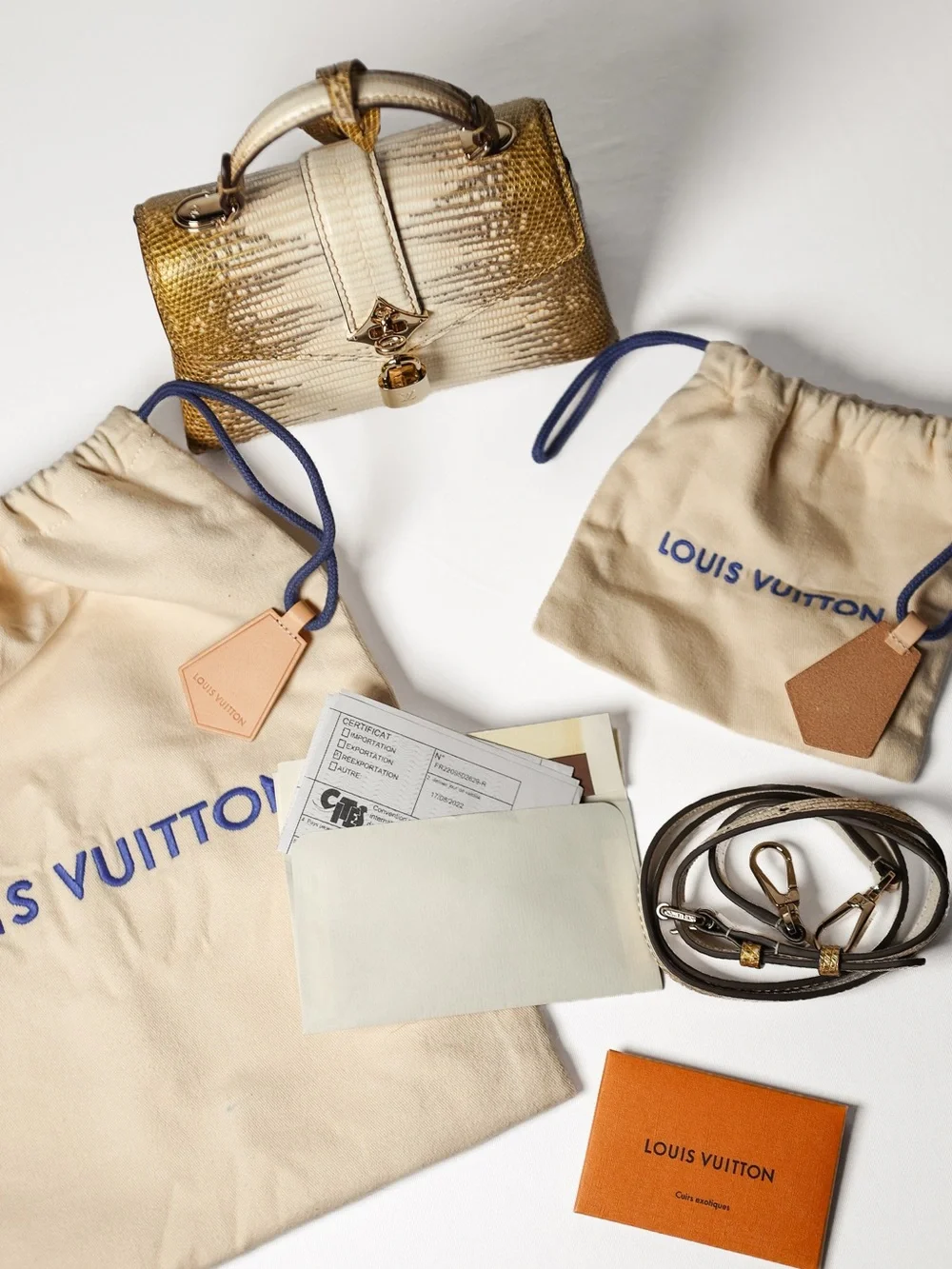 Louis Vuitton Ombre des Vents Lizard Bag Leather